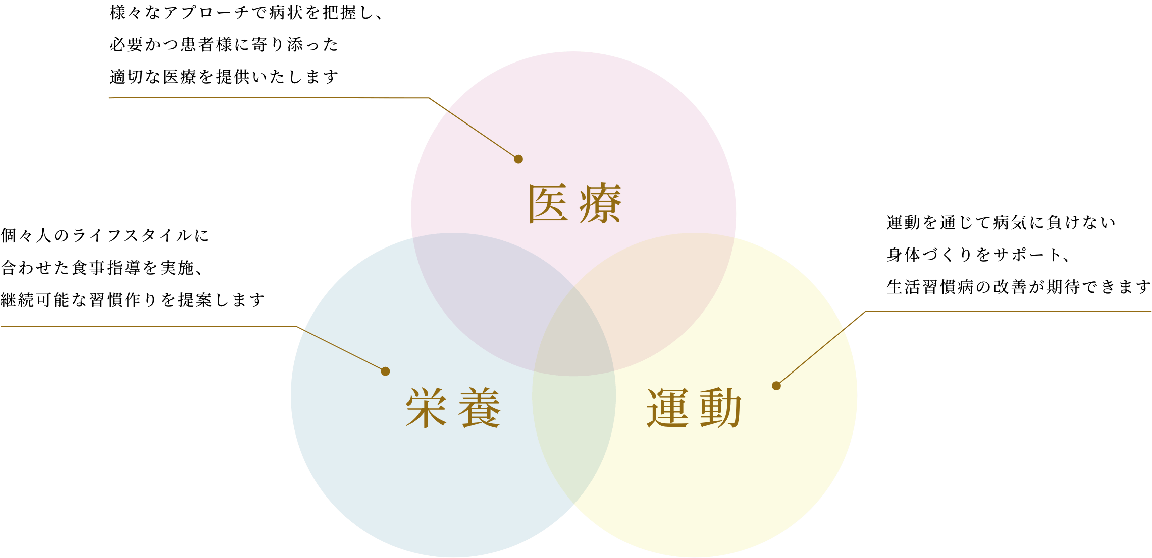 医療：様々なアプローチで病状を把握し、必要かつ患者様に寄り添った適切な医療を提供いたします／栄養：個々人のライフスタイルに合わせた食事指導を実施、継続可能な習慣作りを提案します／運動：運動を通じて病気に負けない身体づくりをサポート、生活習慣病の改善が期待できます